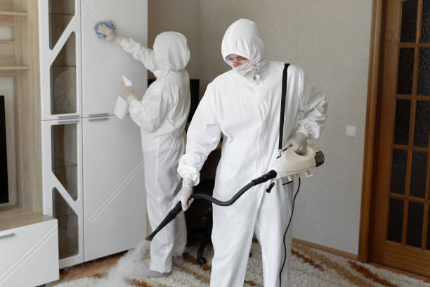 Trusted Livingston, LA Mold Remediation Experts